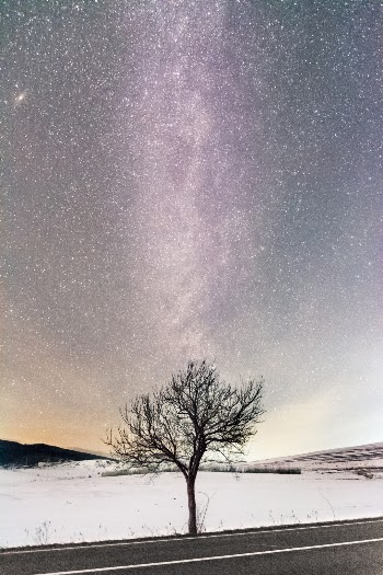 Unsplash ID SH5JiKs-Vyo
