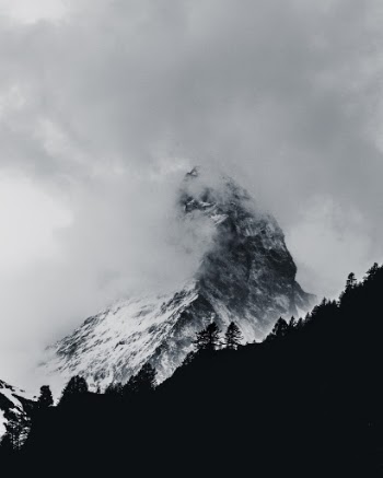 Unsplash ID si-8pf1uCQU