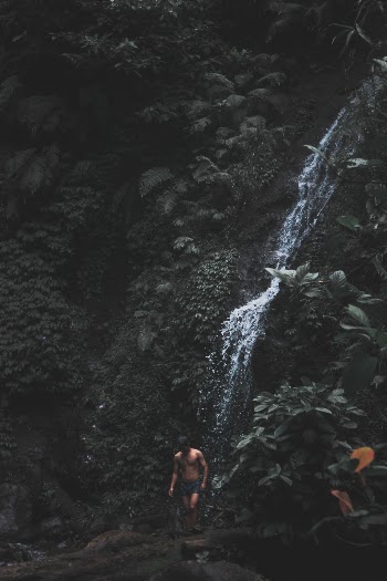 Unsplash ID Sjx2iAwBVnM