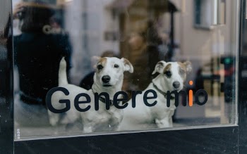 Unsplash ID slIAqQrcIXk