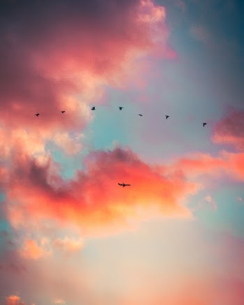 Unsplash ID SN7kHauR8ps