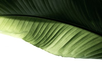 Unsplash ID SpKT27bNSOQ