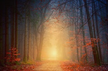 Unsplash ID sPt5RIjKfpk