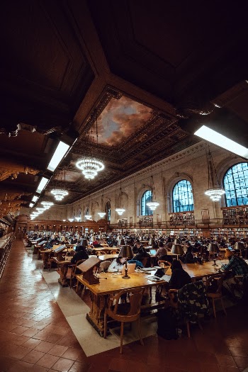 Unsplash ID SpuFxavO7Uw