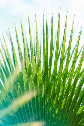 Unsplash ID SrMrqVZAcWI