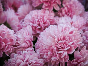 Unsplash ID stLtvg_x2HQ