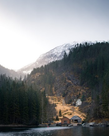 Unsplash ID sUxVzxR7O0g