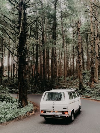 Unsplash ID Sw5wAO6ECZw