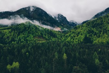 Unsplash ID sWAAhaoVuko