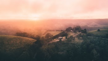 Unsplash ID SwgiWNurMuM