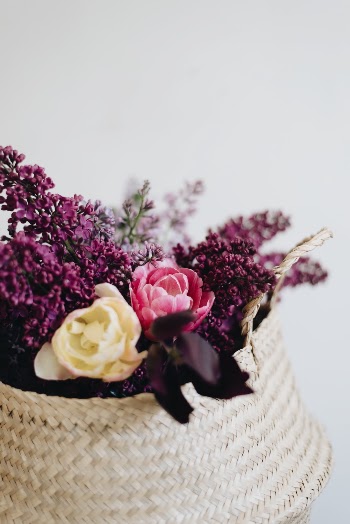 Unsplash ID SWW6BAASQH4