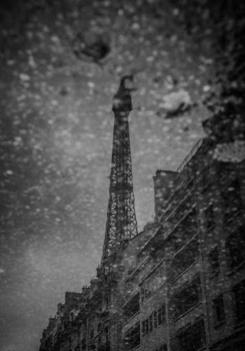 Unsplash ID T_XGg19Wfds