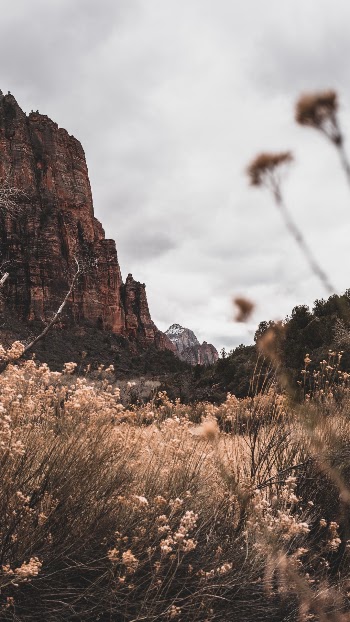 Unsplash ID T2IuyjOkgpE