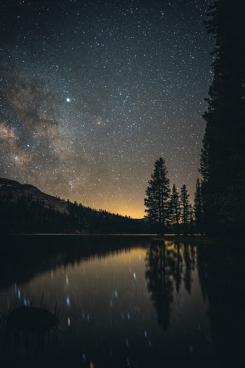 Unsplash ID T2l1NxKOsjY