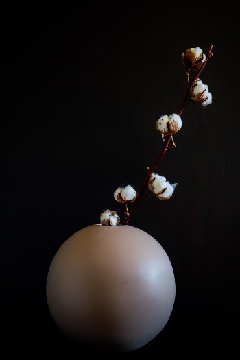 Unsplash ID T4BWIcNX2rg