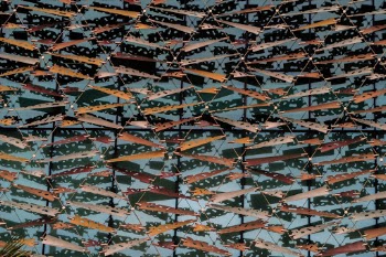 Unsplash ID t7da79YMeH0