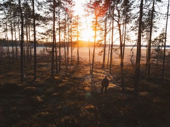 Unsplash ID t7pgo8w_Yo0