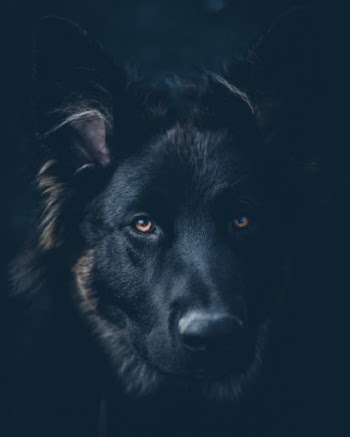 Unsplash ID T7wpzGFawUo