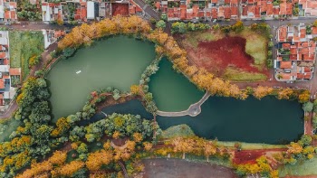Unsplash ID T7yLva5A1FA