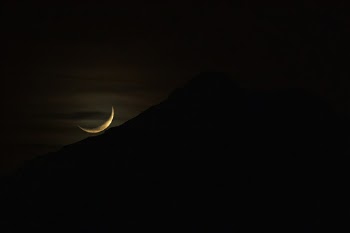 Unsplash ID t82Ve5dINfI