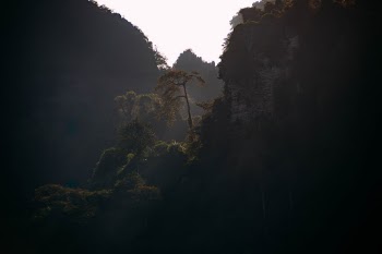 Unsplash ID T9h20_PUffw