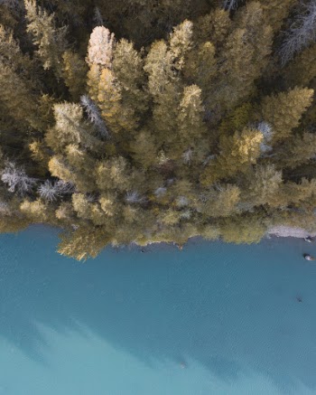 Unsplash ID TAzBTzzKrMA