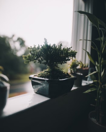Unsplash ID tB2FY5kMV_0
