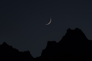 Unsplash ID tBR4sct4gm4
