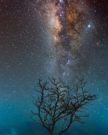 Unsplash ID tBRJuBMSl5M