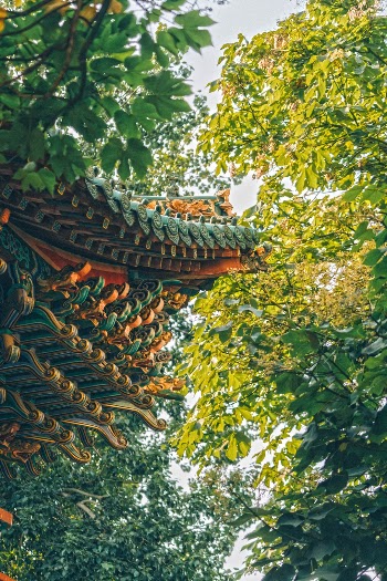 Unsplash ID tbYn7L9wIkk