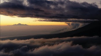 Unsplash ID TCedX7I8q9A