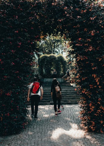 Unsplash ID tch-wdYuJ-A