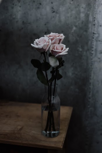 Unsplash ID tClKF8RX2vk