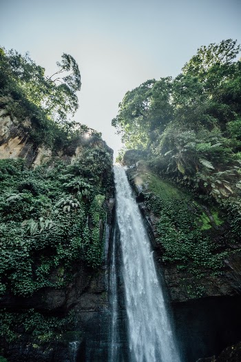 Unsplash ID TcRk4MDuLF4