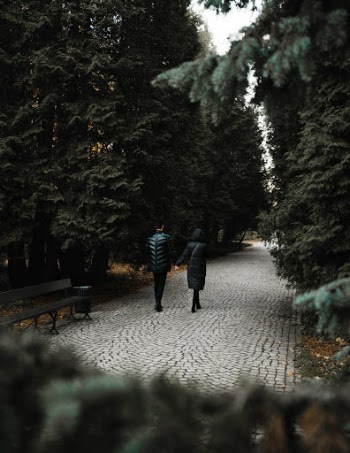 Unsplash ID -tCwodsN8Uw