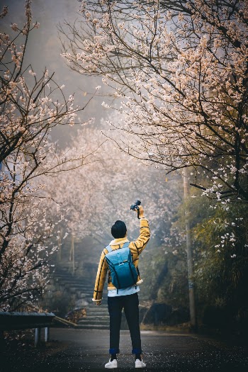 Unsplash ID __te8BUQMVk