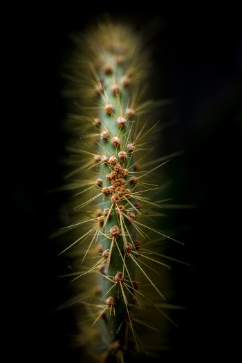 Unsplash ID tFFFa2E0Tpk