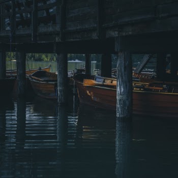 Unsplash ID tfMplScgSCs