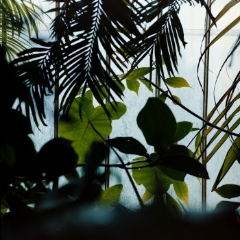 Unsplash ID TFNpV_iC19E