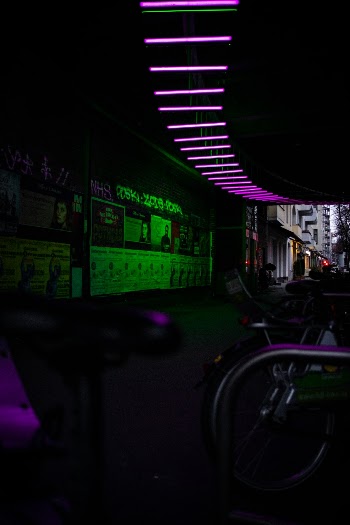 Unsplash ID TfRgynt5N1U