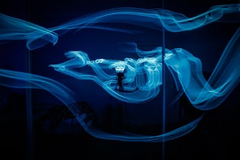Unsplash ID tgFR67JUcBs