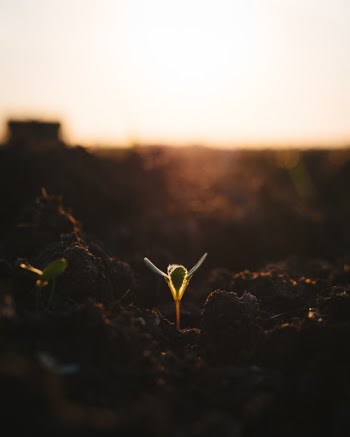 Unsplash ID tGui77fvvpE