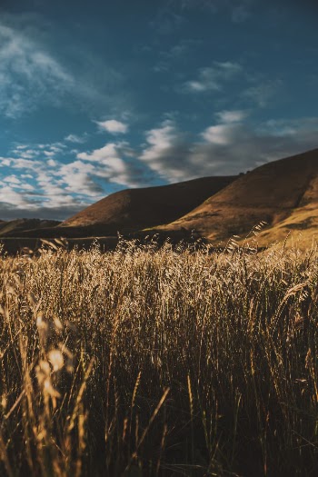 Unsplash ID Th1Cnkd05dg