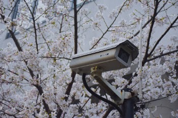 Unsplash ID TH4Ug5gGgD8