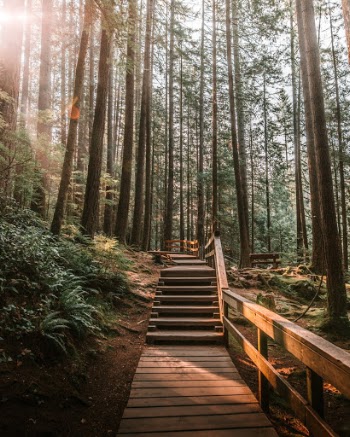 Unsplash ID tHcz1k2r05o