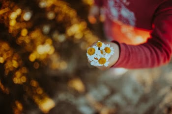 Unsplash ID tI-52ObHbR0