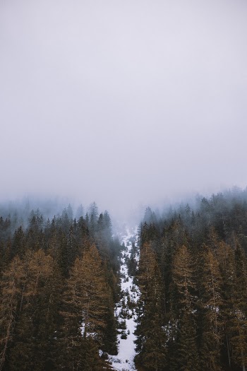 Unsplash ID Ti-IRNkH9Vs