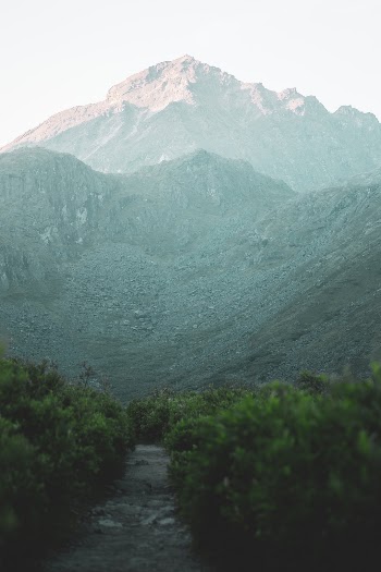 Unsplash ID tJwmiOratQ8