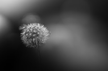 Unsplash ID tk9zU24LEkc