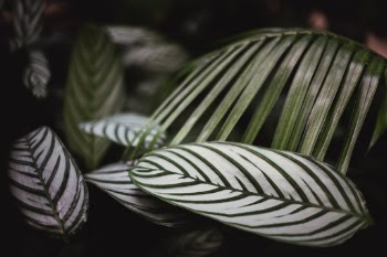 Unsplash ID TKq1bO_1eVE